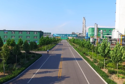 山西鹏飞焦化绿色发展有限公司捣固焦化项目.jpg